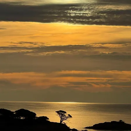 Ferienhaus Casetta Di Asciaghju Porto-Vecchio (Corsica)